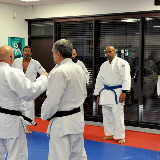 Adults class - A. Kolychkine Judo Foundation